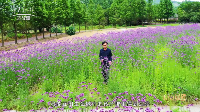 南山花园：美岕-在山水之间